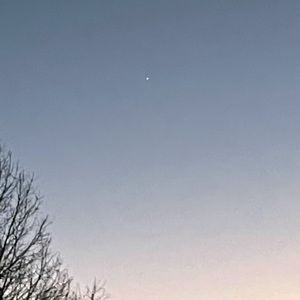 Meet your Posher, Brentley